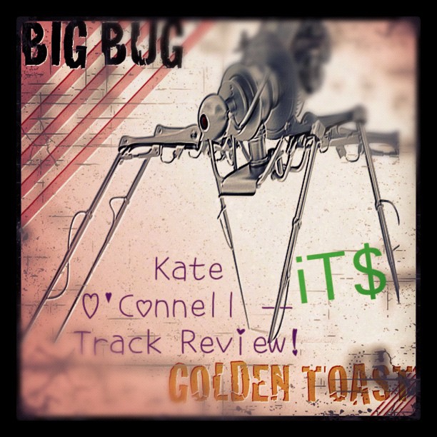 Big Bug track review