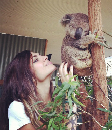 Krwella Koala