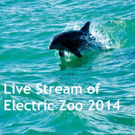 electric zoo live stream www.hammarica.com/pr