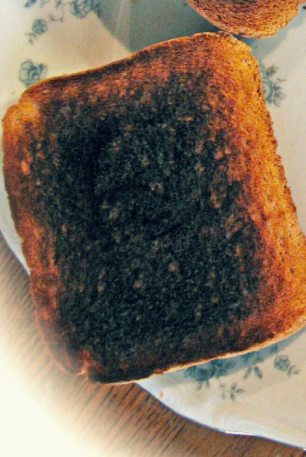 Skrillex Toast